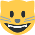 smiley_cat :smiley_cat: