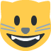 :smiley_cat: 